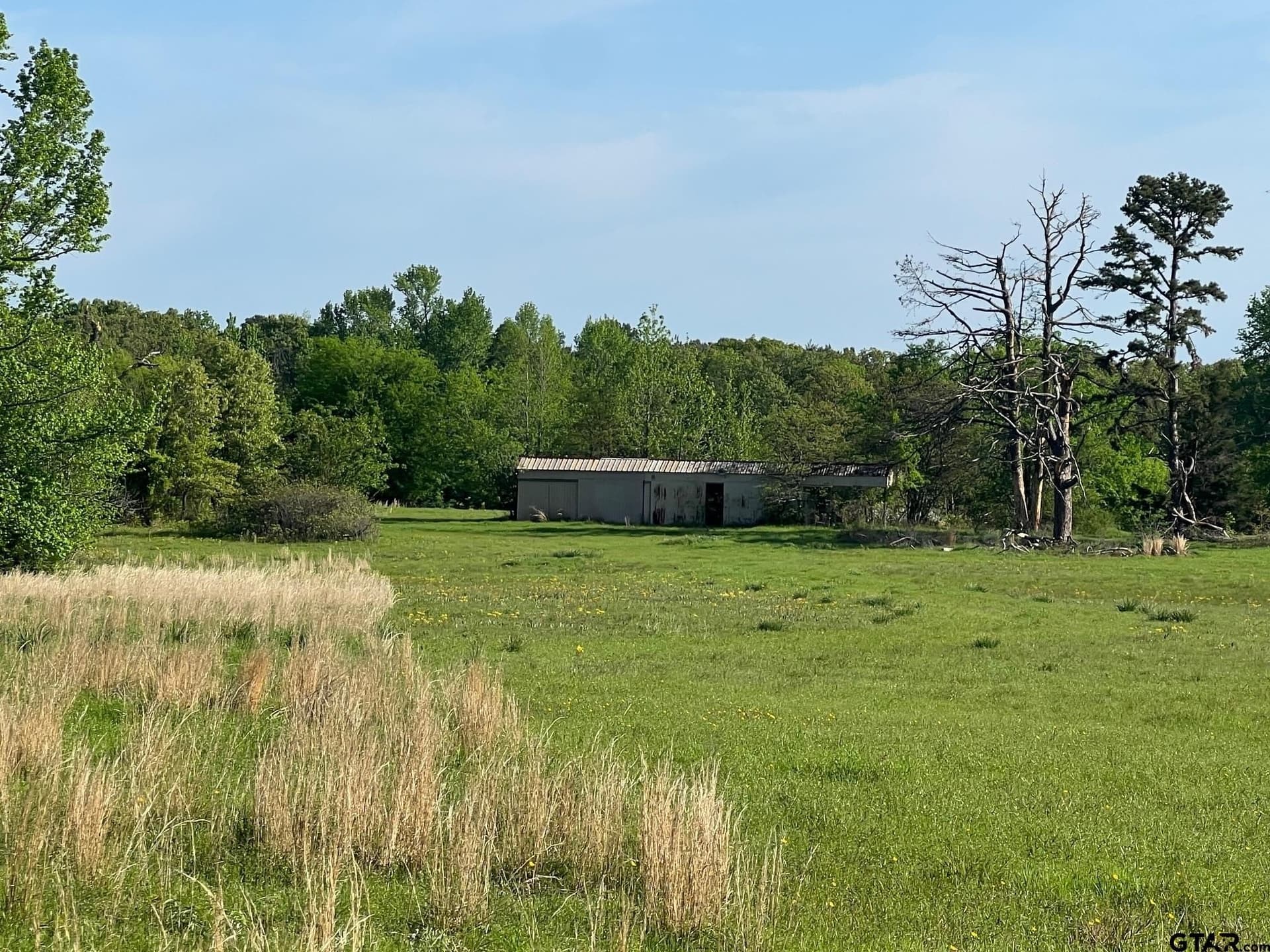 30 acres in Titus County - photo 5