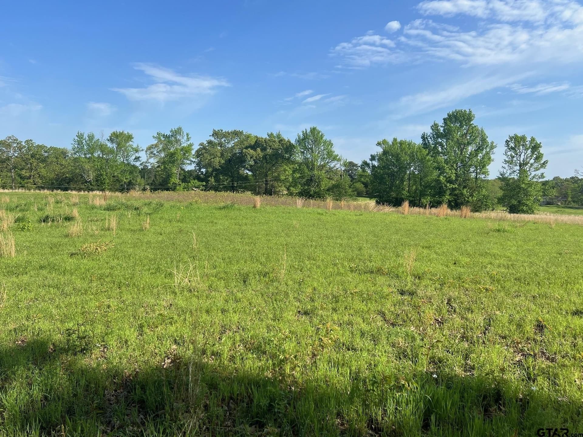 30 acres in Titus County - photo 3