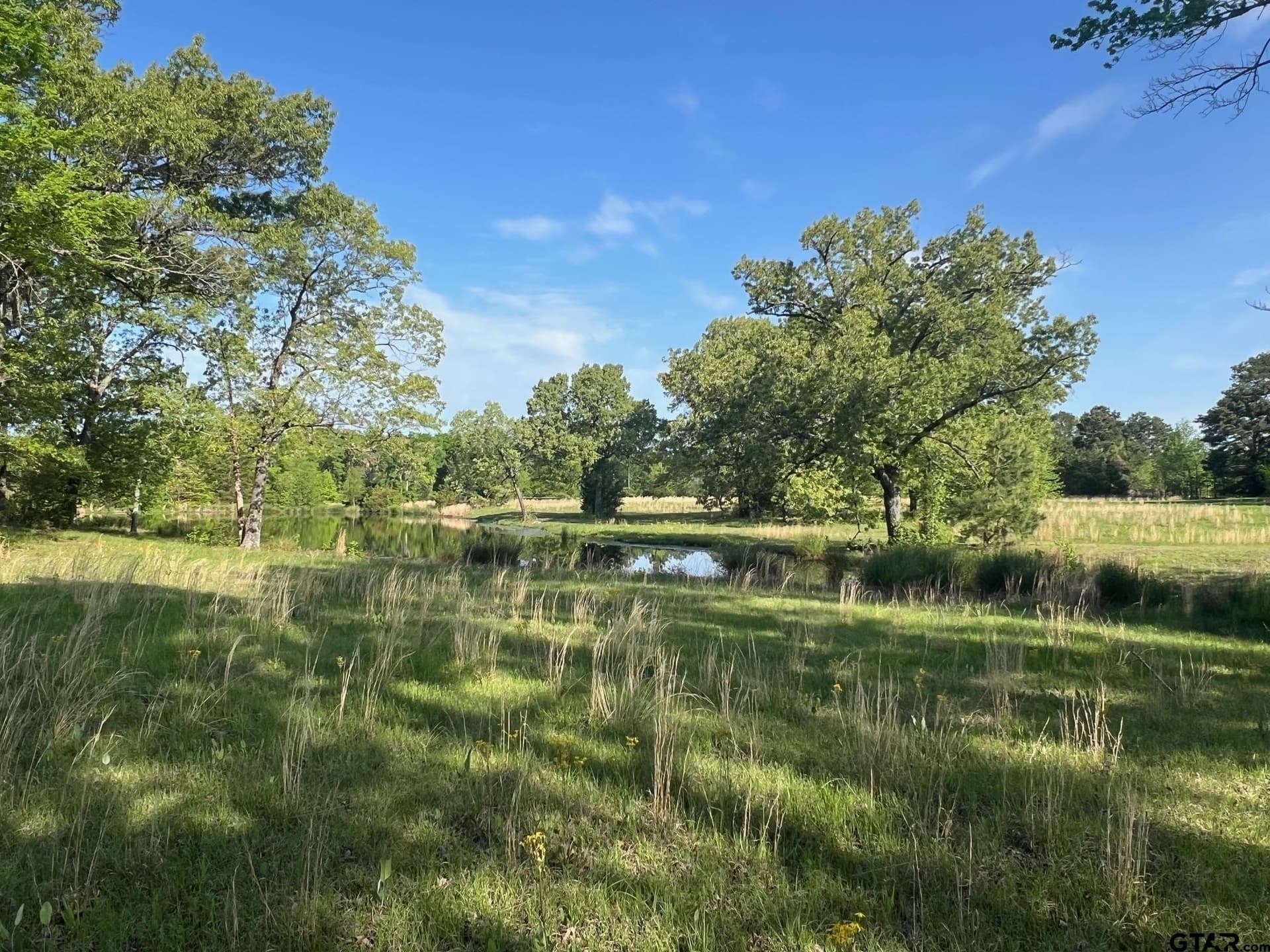 30 acres in Titus County - photo 2