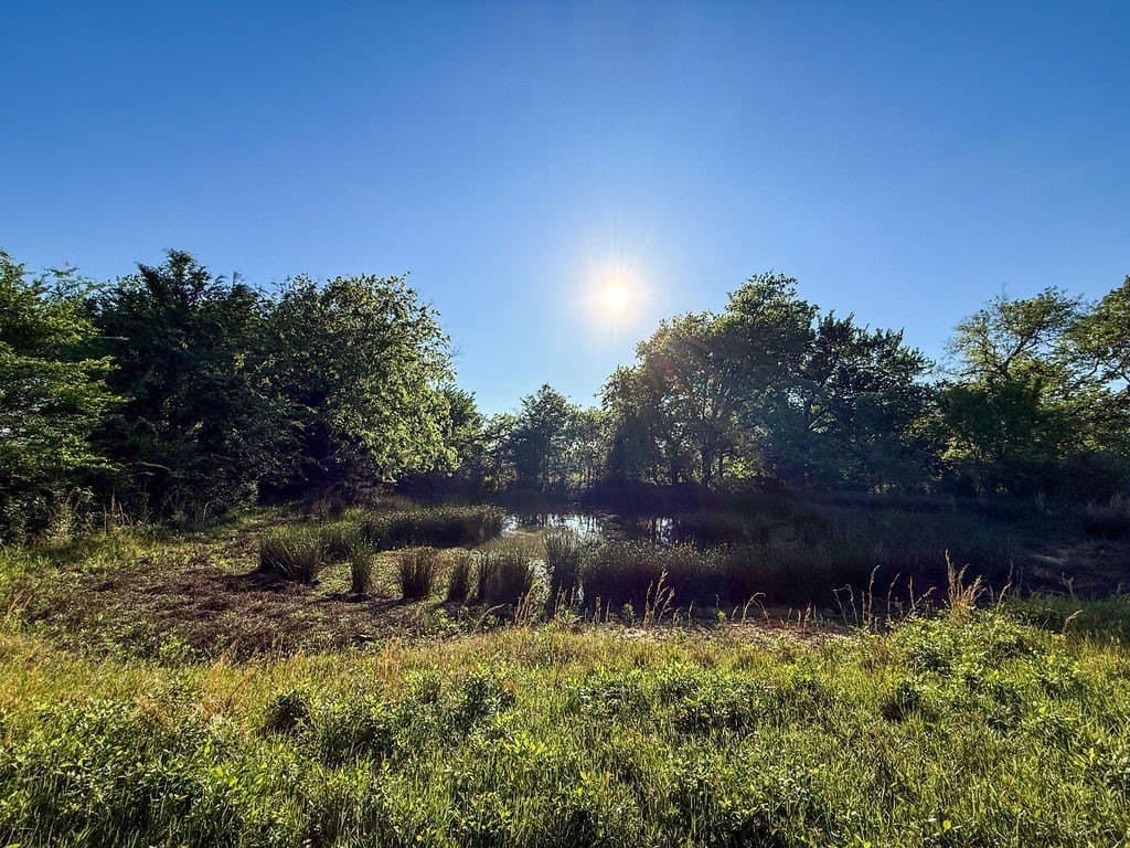 7.1 acres in Hopkins County gallery image 3