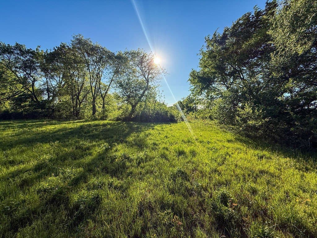 7.1 acres in Hopkins County gallery image 4