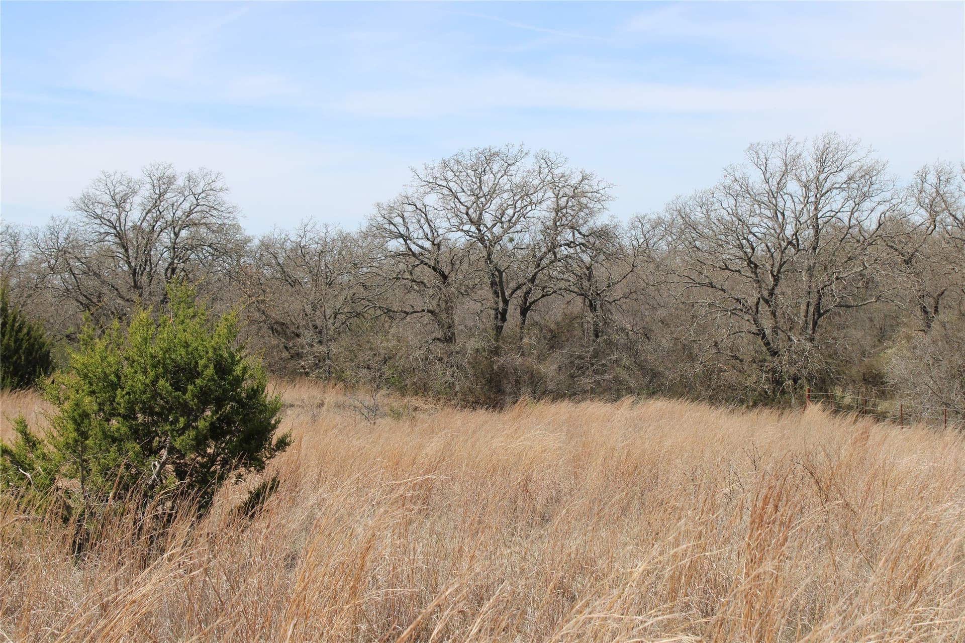 13.5 acres in Jack County - photo 7