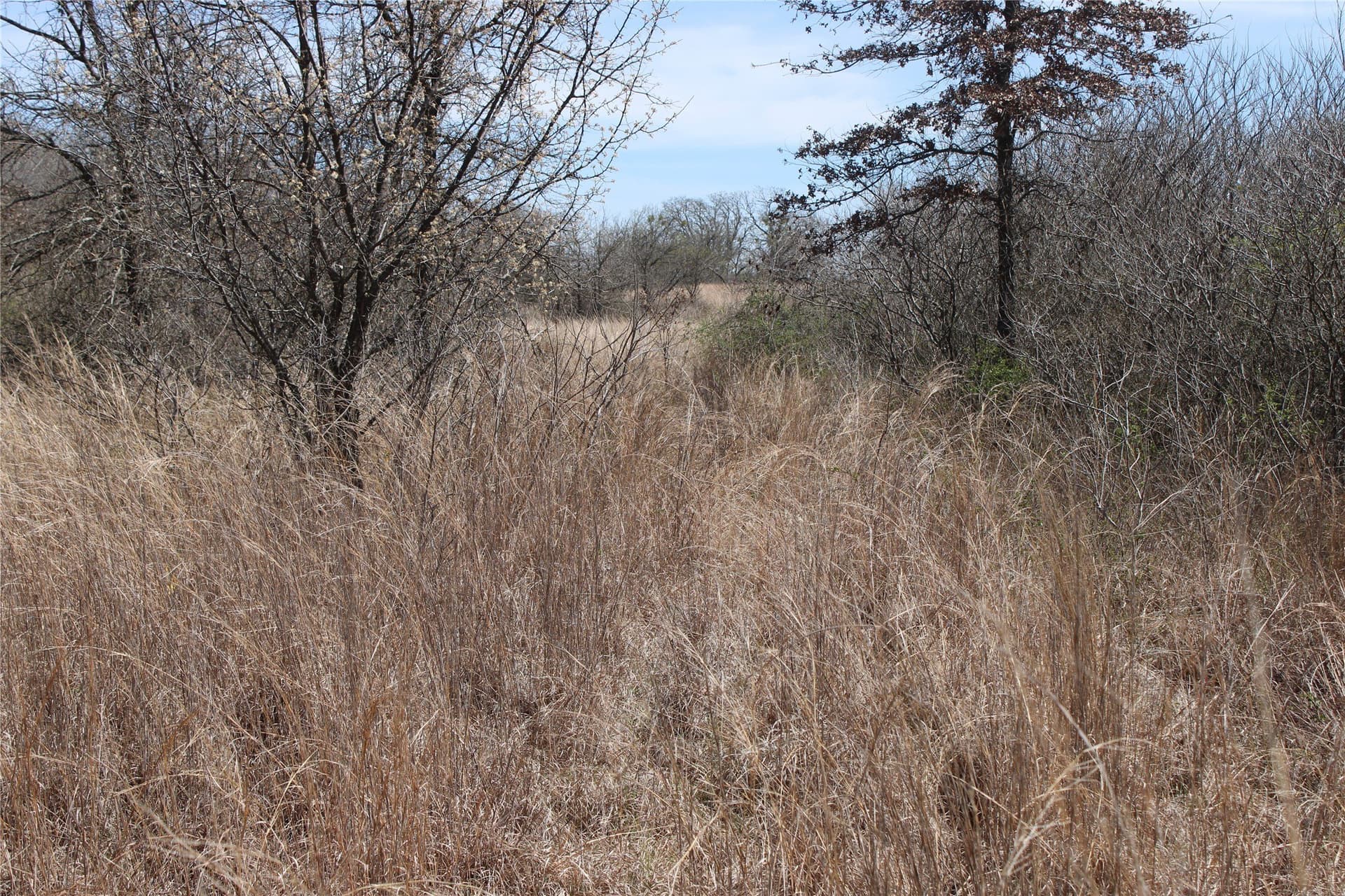 13.5 acres in Jack County gallery image 4
