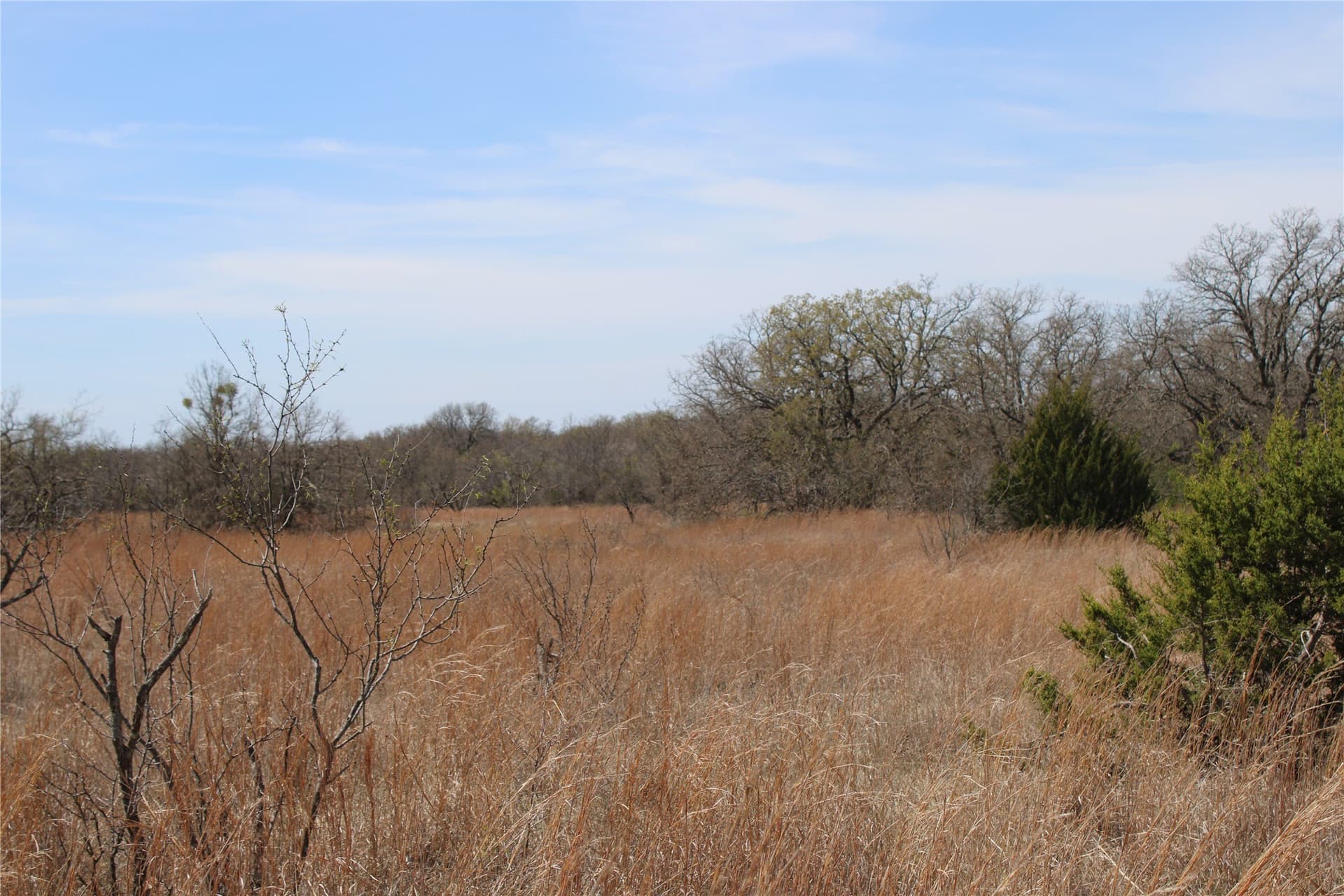 13.5 acres in Jack County - photo 6