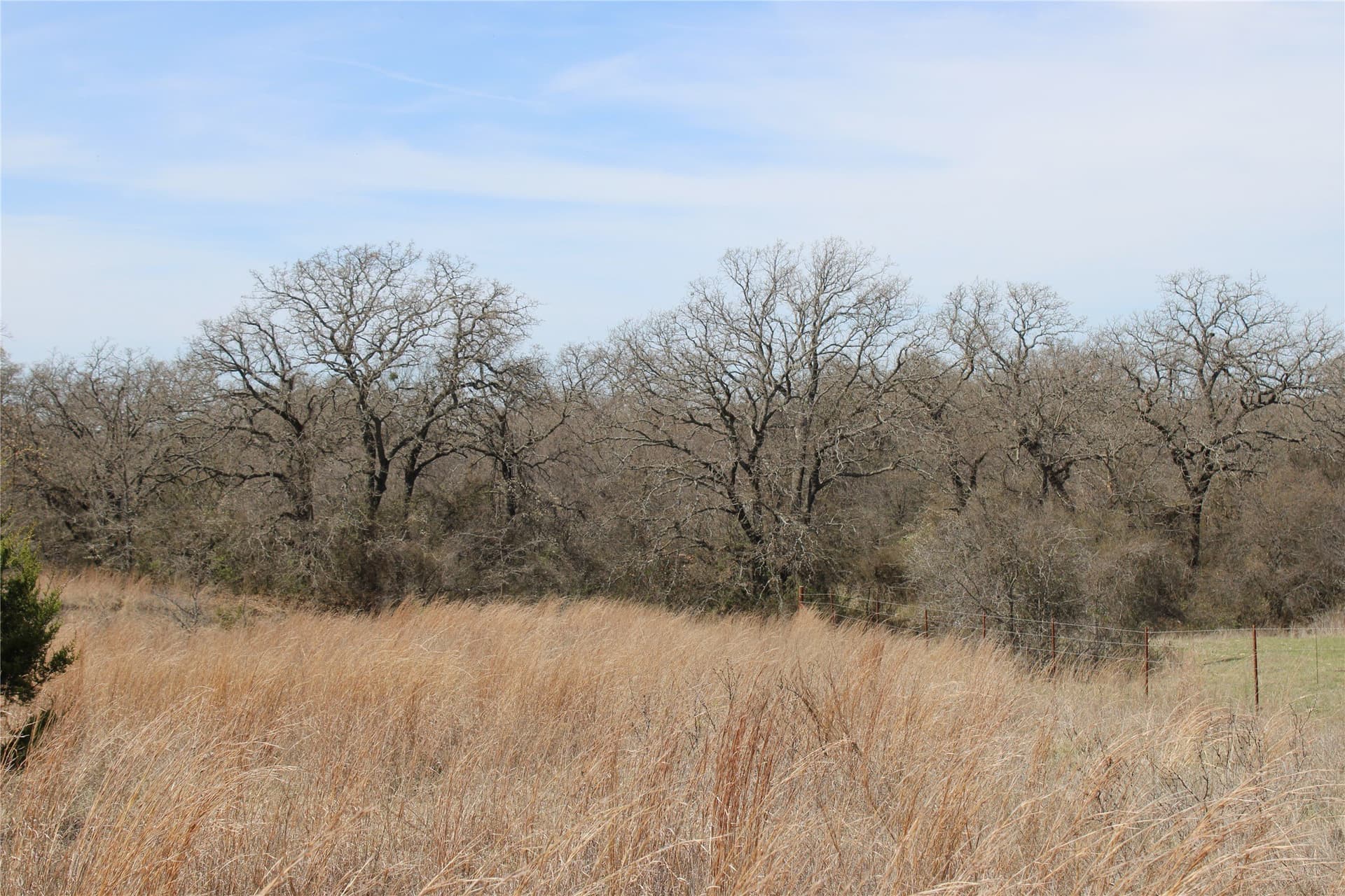 13.5 acres in Jack County - photo 8