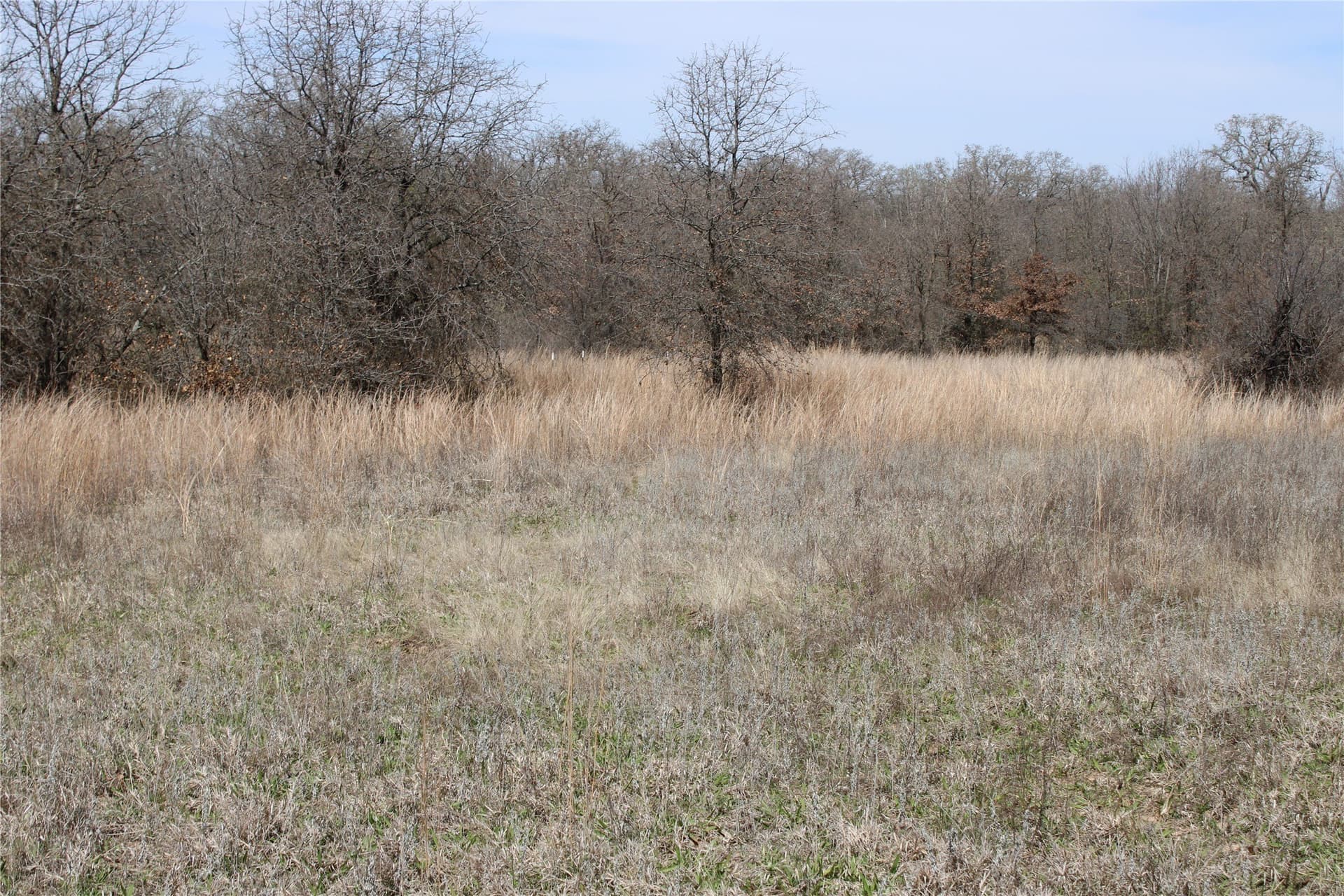 13.5 acres in Jack County - photo 9