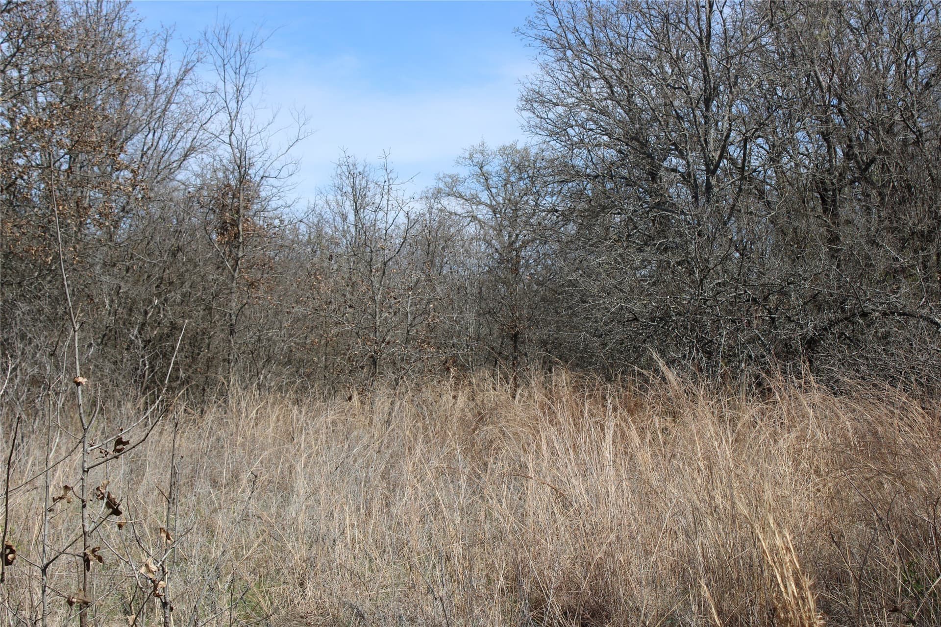 13.5 acres in Jack County gallery image 3