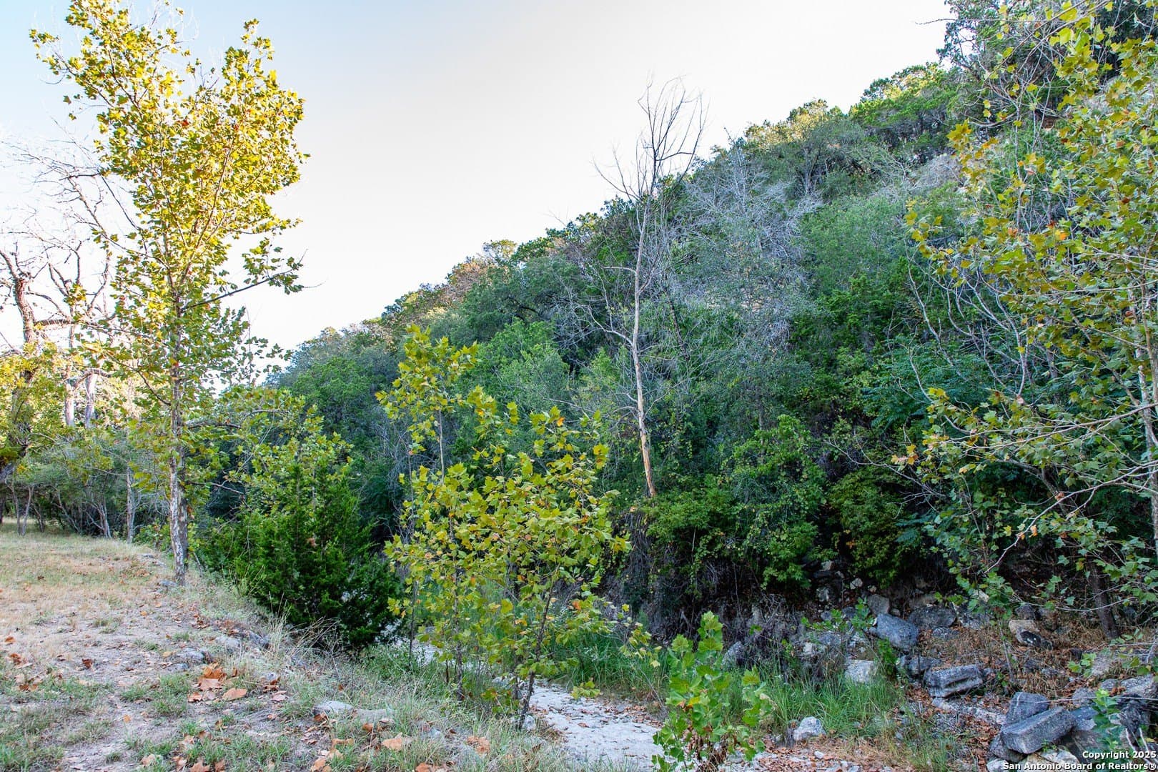 22.24 acres in Bandera County gallery image 2
