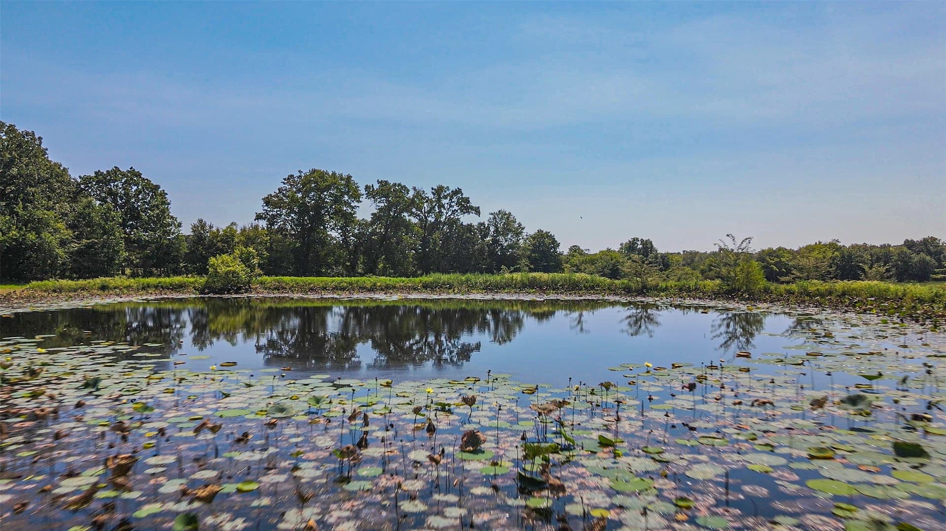 168.18 acres in Delta County - photo 27
