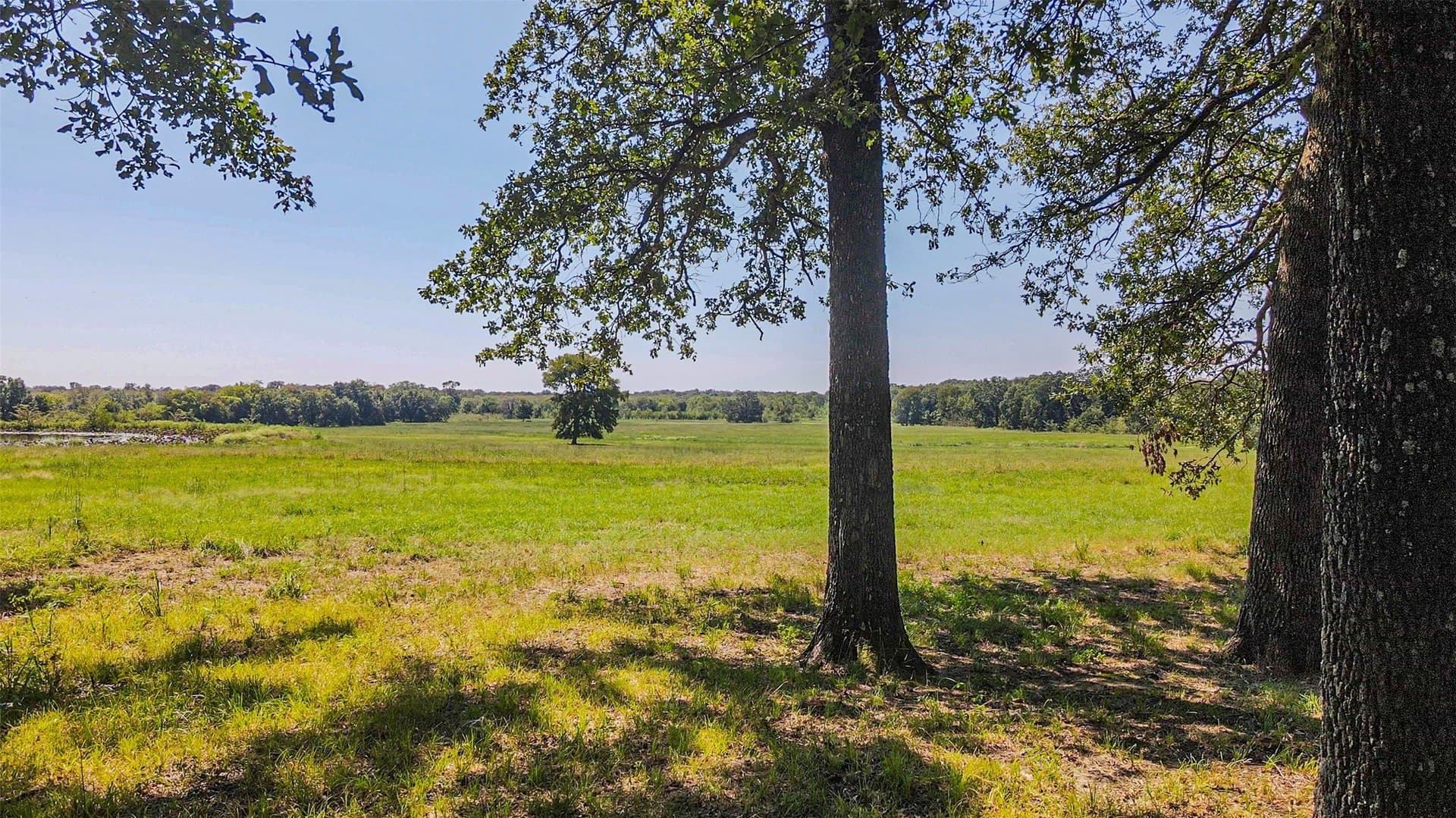 168.18 acres in Delta County - photo 29