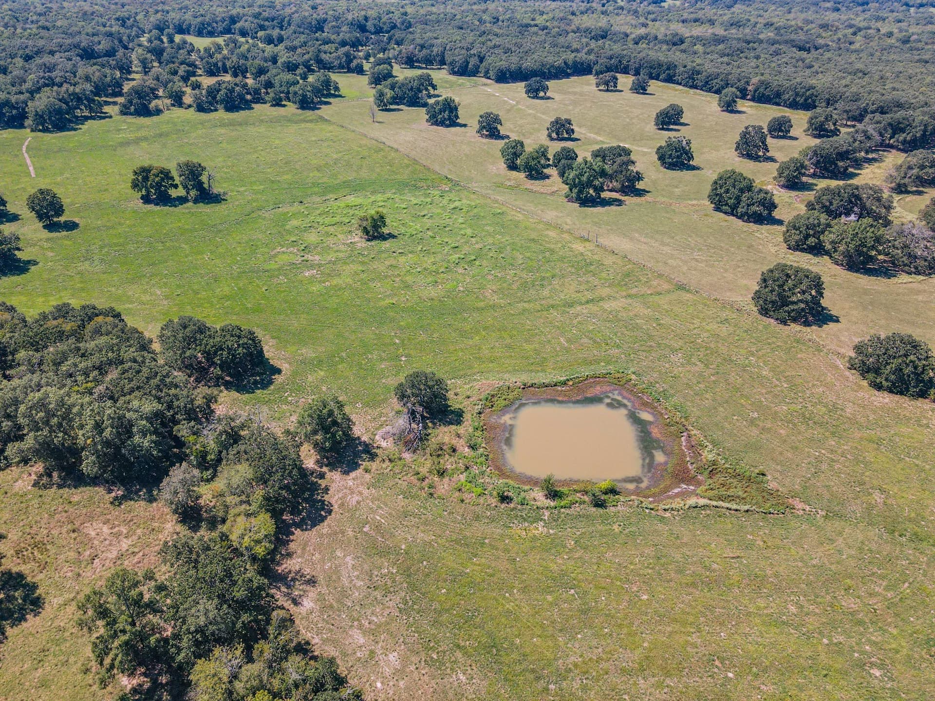 168.18 acres in Delta County - photo 19