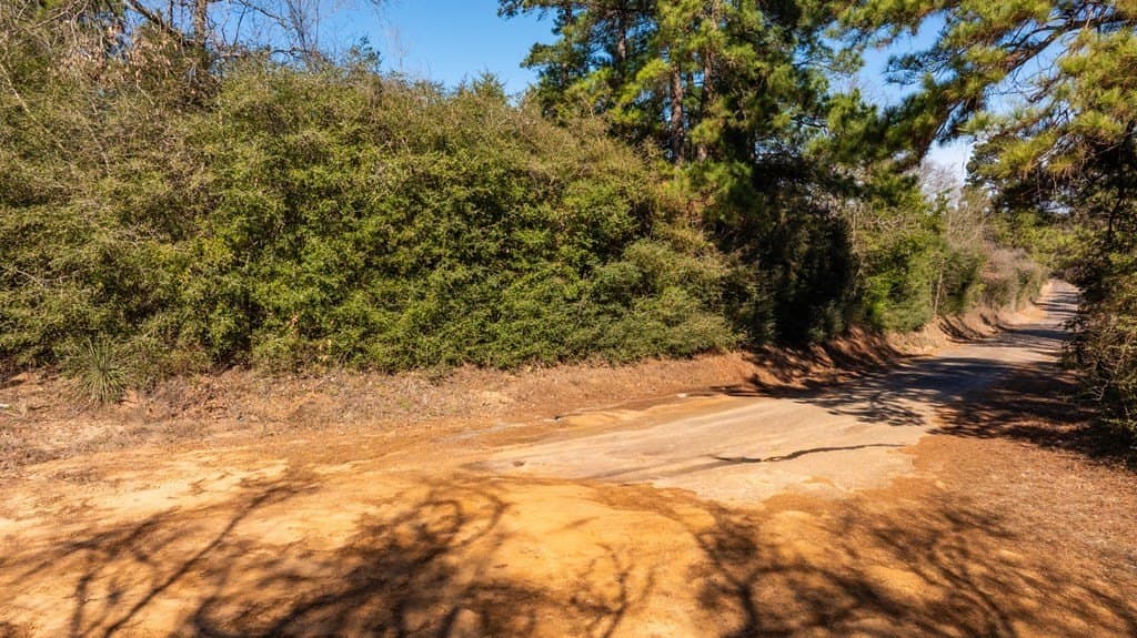 44.02 acres in ANDERSON County gallery image 2