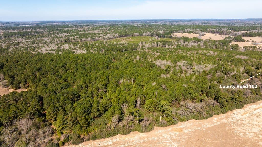 44.02 acres in ANDERSON County featured view