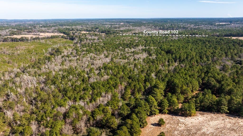 44.02 acres in ANDERSON County gallery image 4