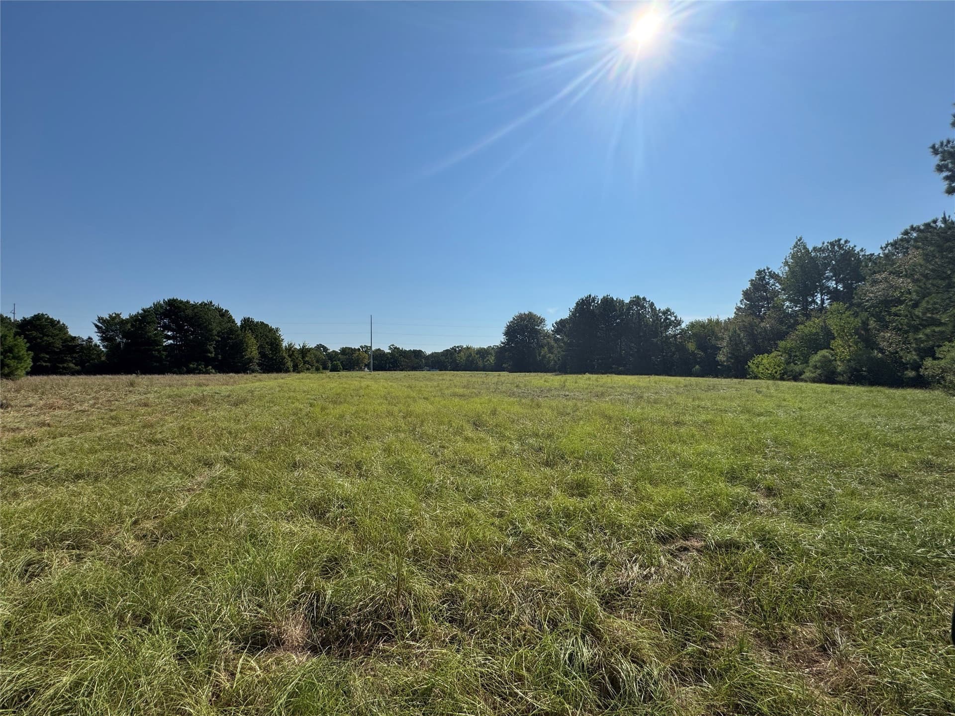 12.36 acres in Anderson County - photo 14