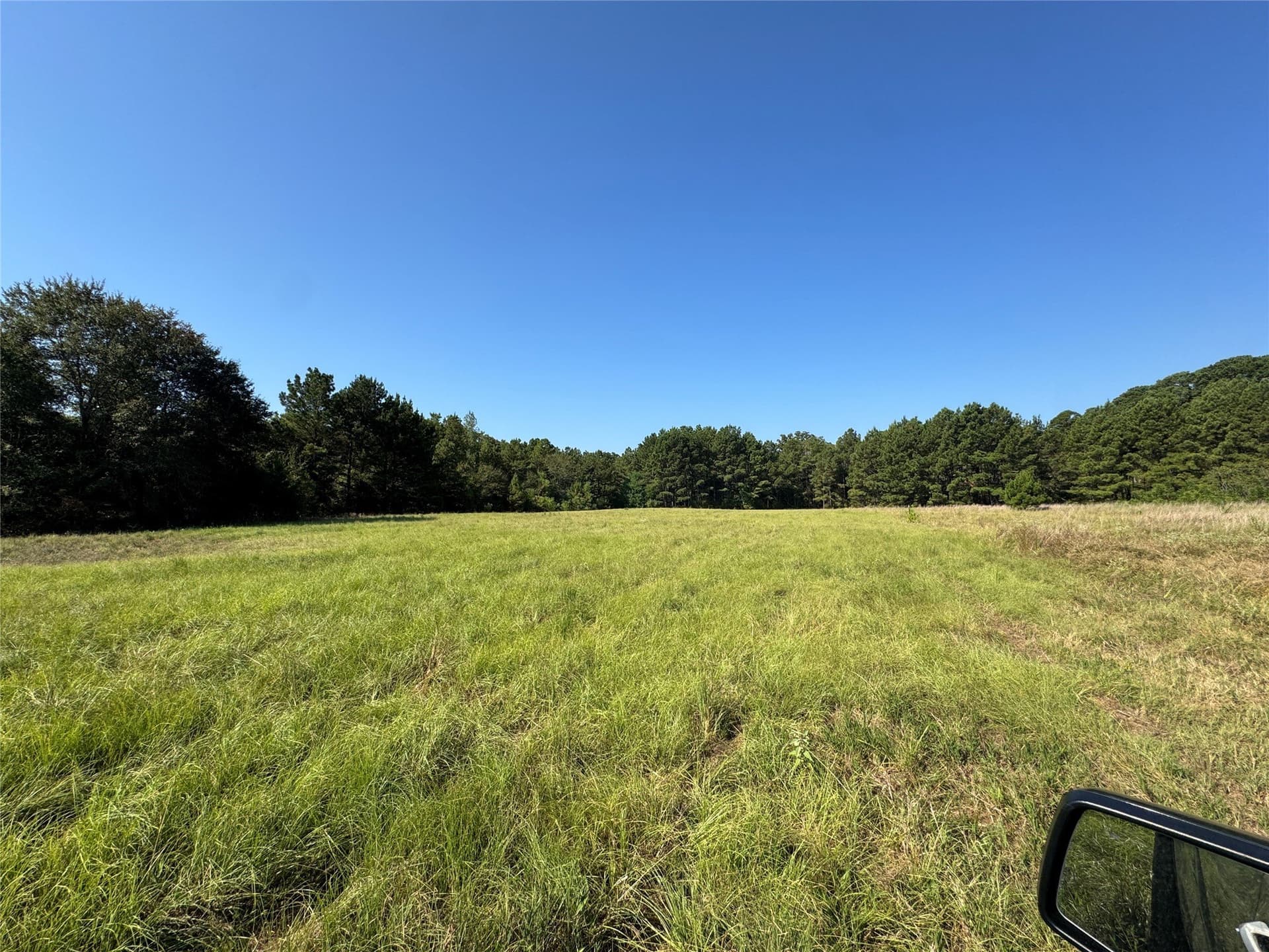 12.36 acres in Anderson County - photo 13