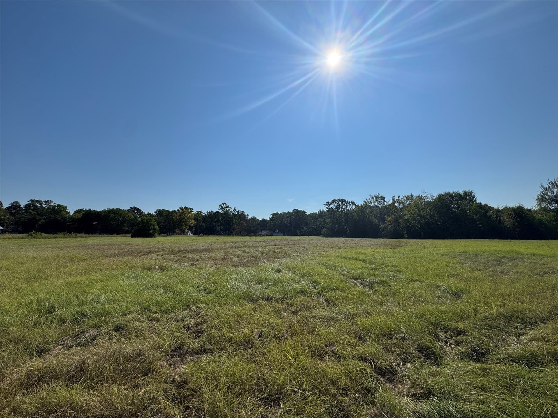 12.36 acres in Anderson County - photo 11