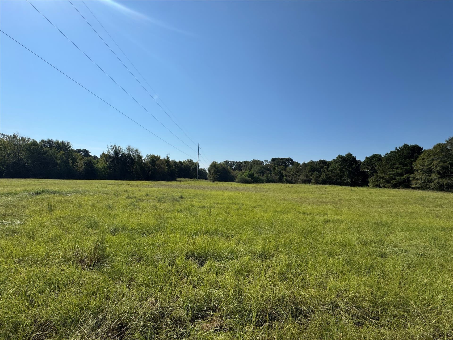 12.36 acres in Anderson County - photo 12