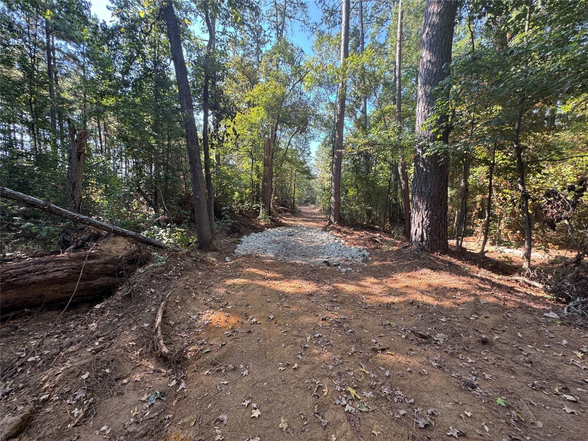 12.36 acres in Anderson County - photo 25