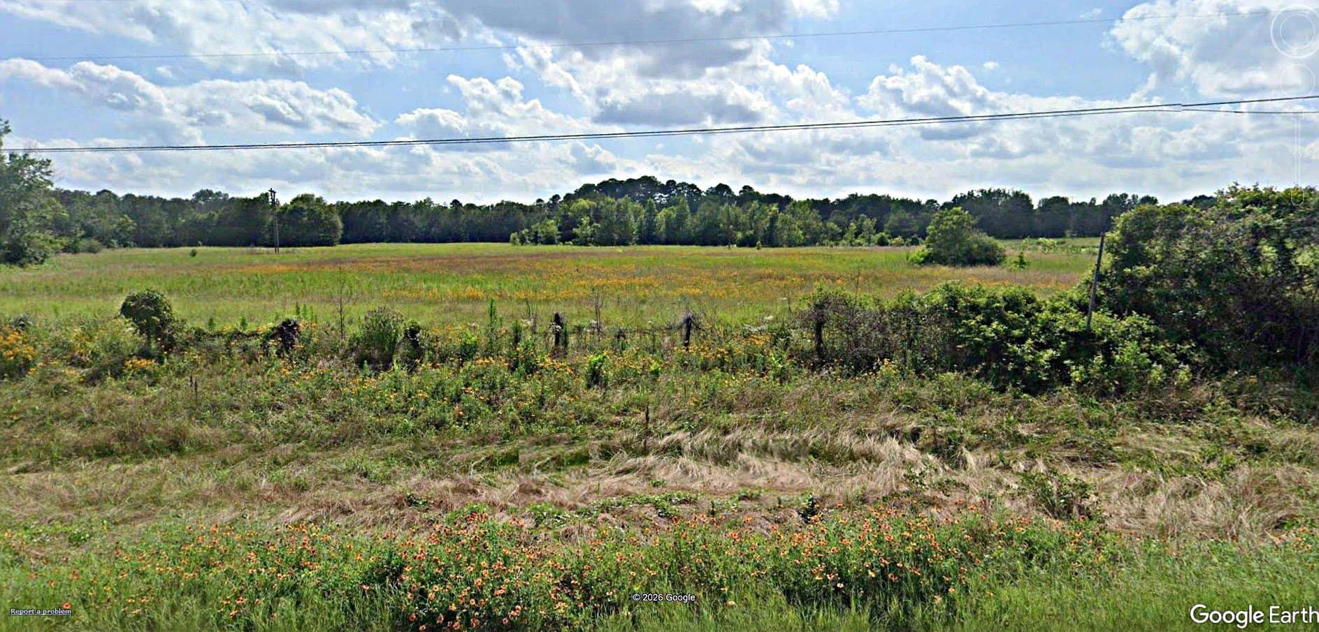 12.36 acres in Anderson County - photo 4