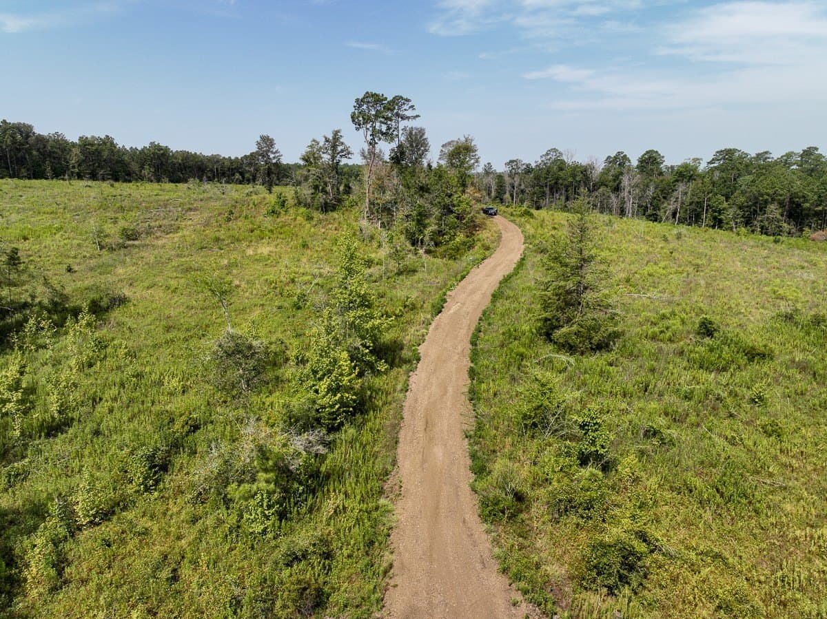 189 acres in Tyler County - photo 18