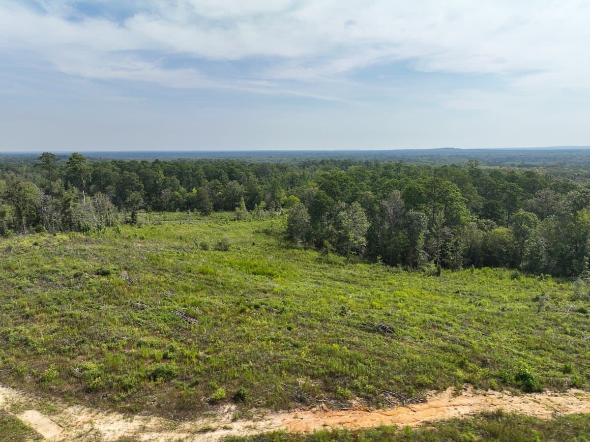 189 acres in Tyler County - photo 13