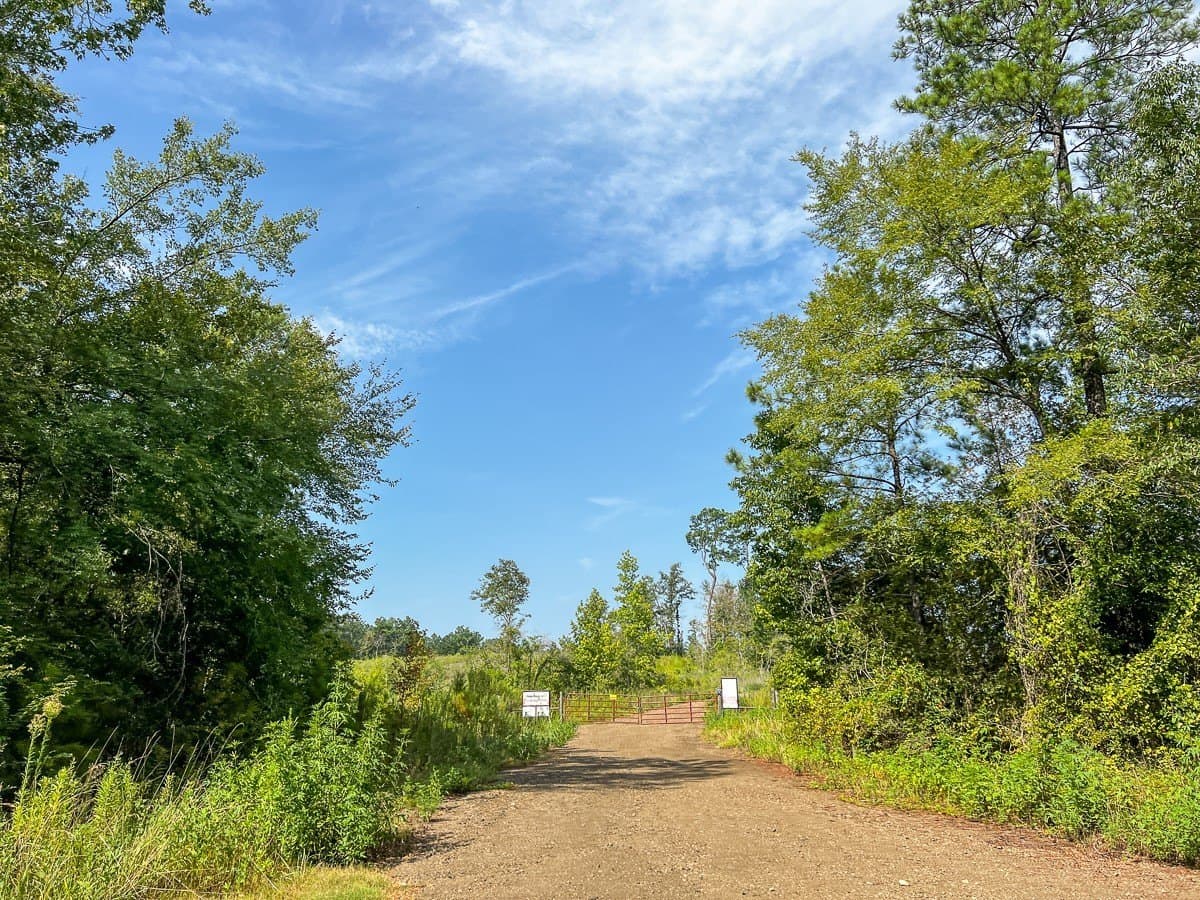 189 acres in Tyler County - photo 27