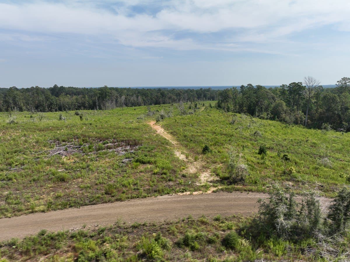 189 acres in Tyler County - photo 9