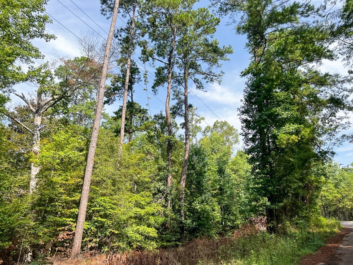 189 acres in Tyler County - photo 25