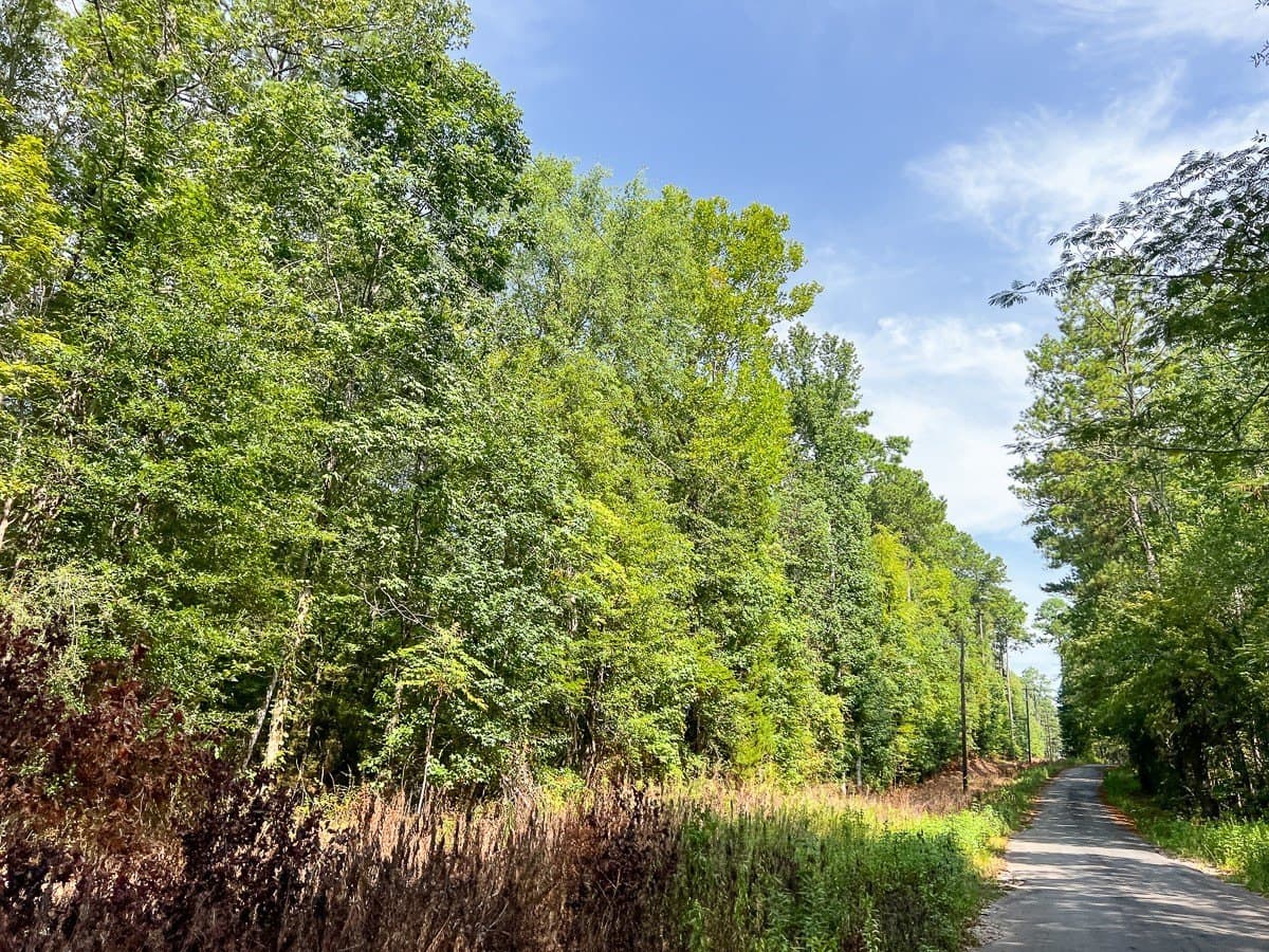 189 acres in Tyler County - photo 24