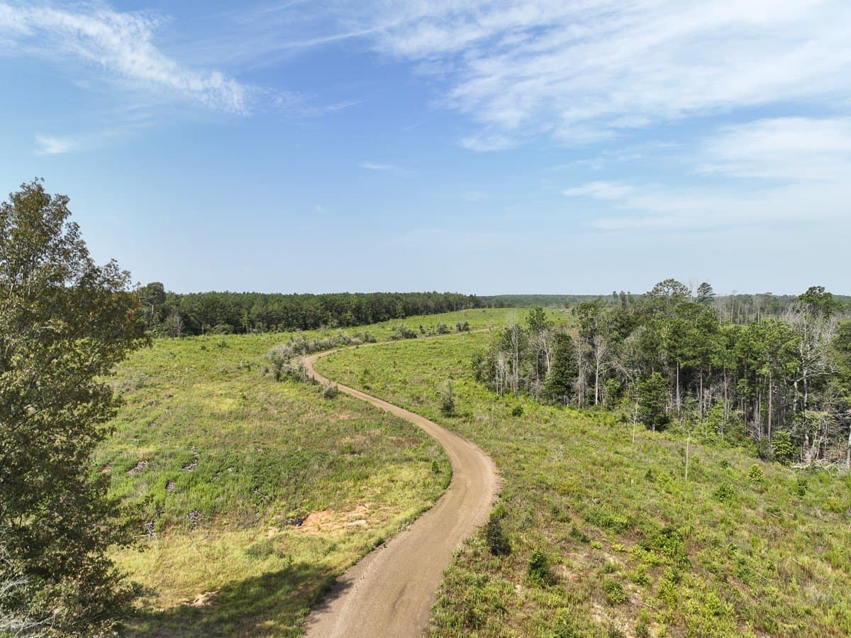 189 acres in Tyler County gallery image 2
