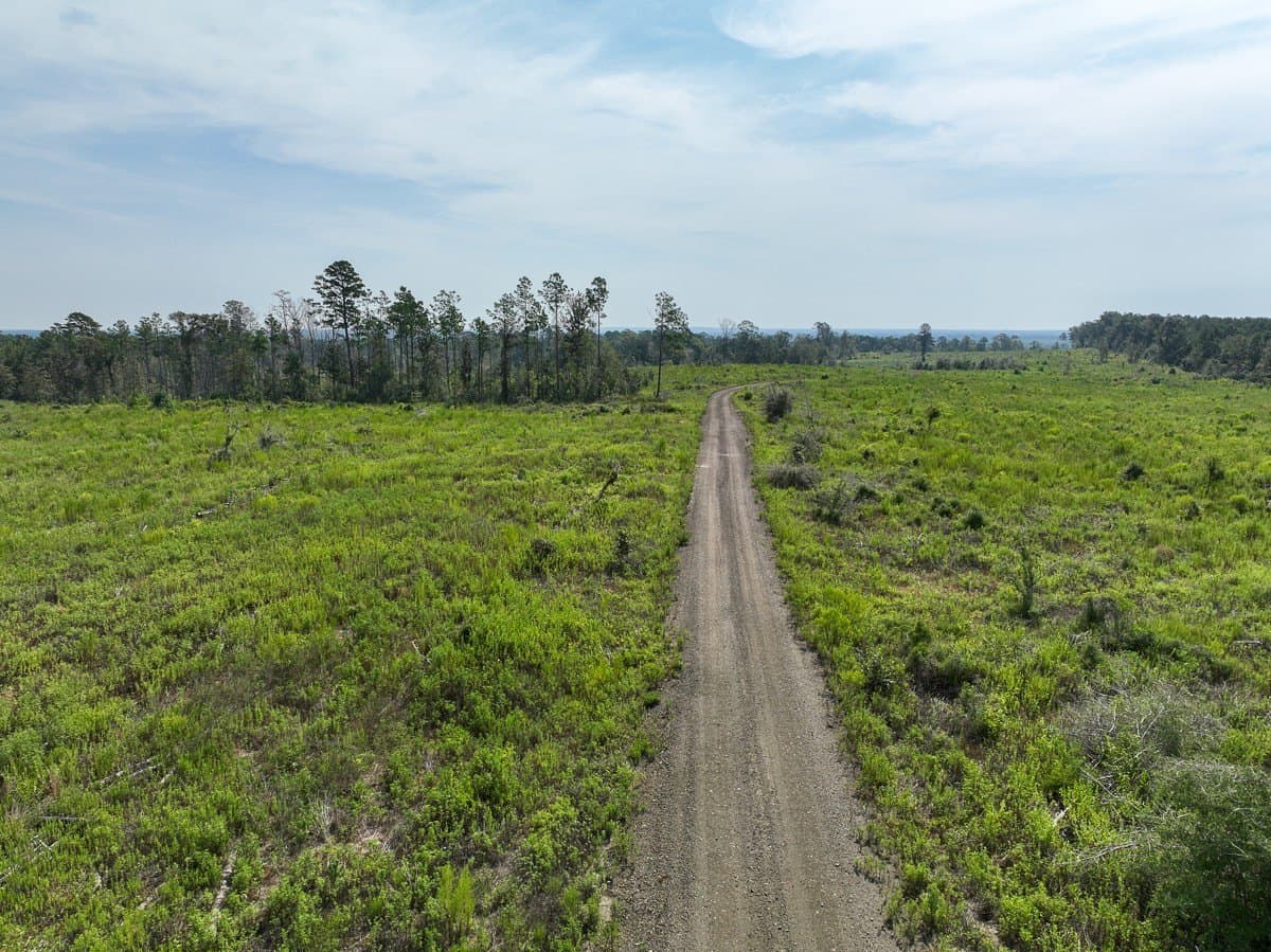 189 acres in Tyler County - photo 7