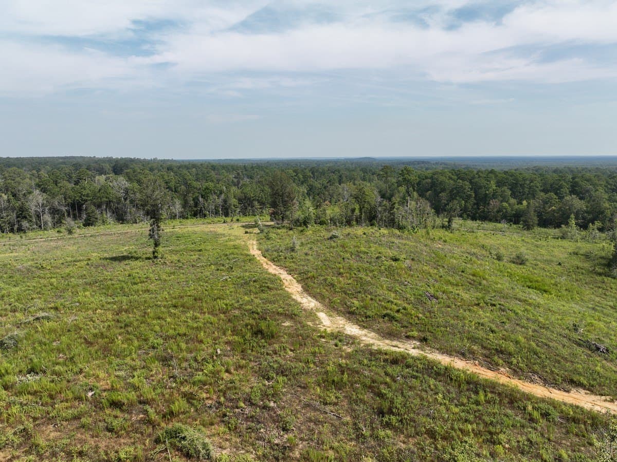 189 acres in Tyler County - photo 14