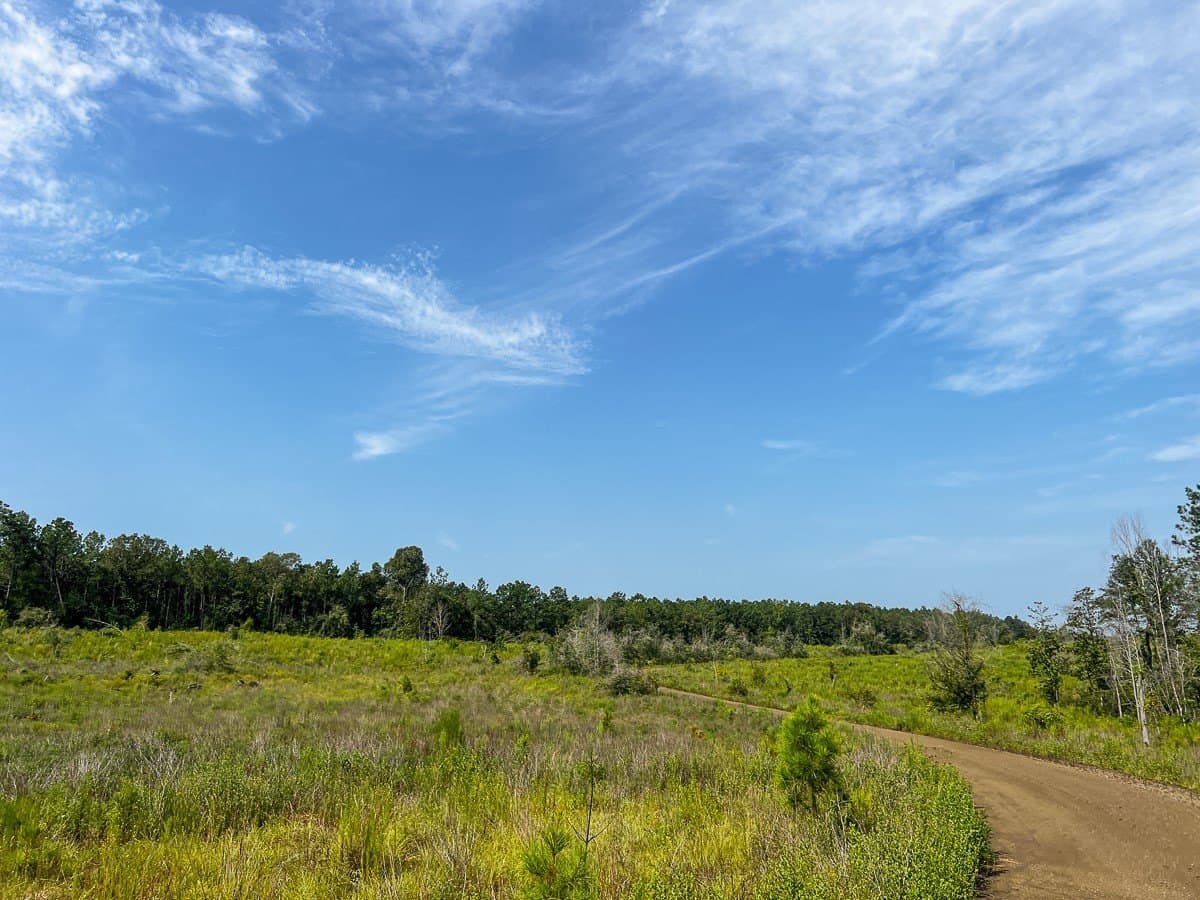 189 acres in Tyler County - photo 31