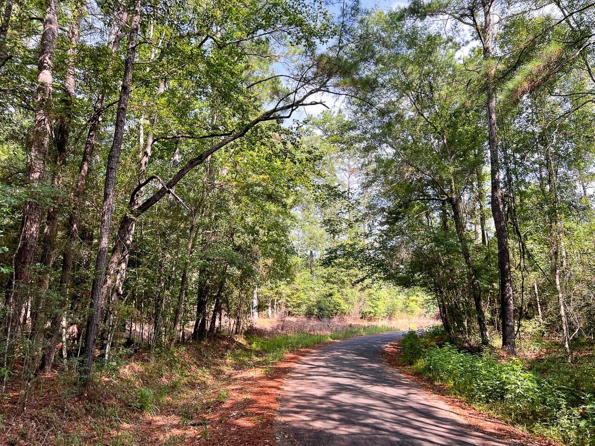 189 acres in Tyler County - photo 20