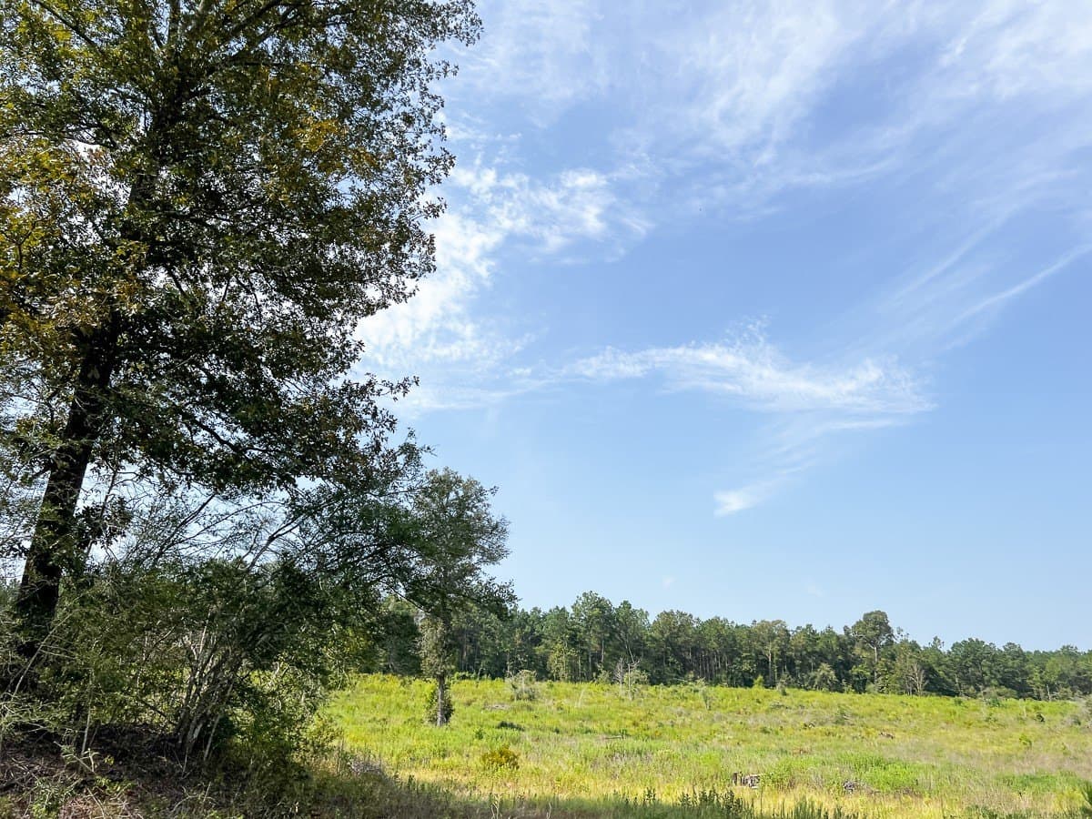 189 acres in Tyler County - photo 29