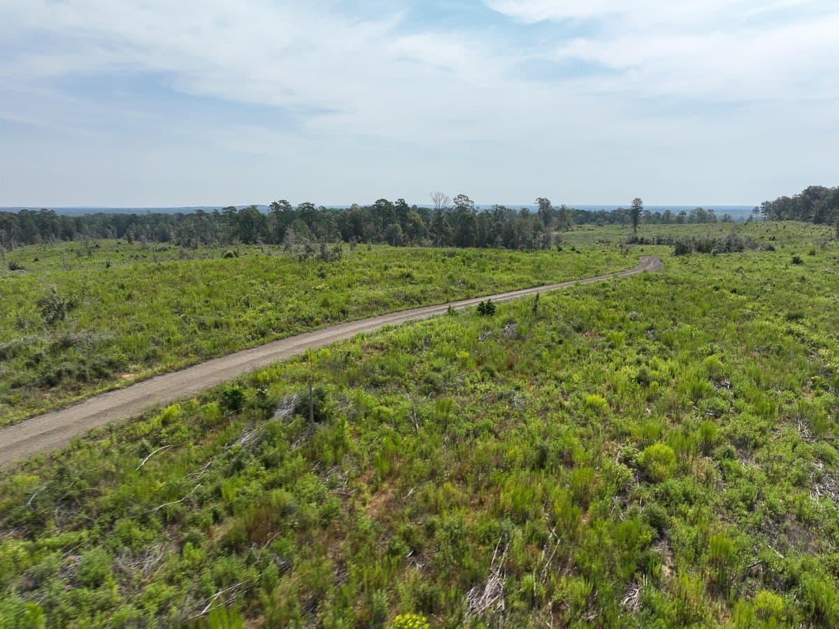 189 acres in Tyler County - photo 8