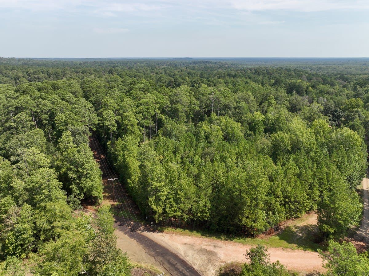 189 acres in Tyler County - photo 16
