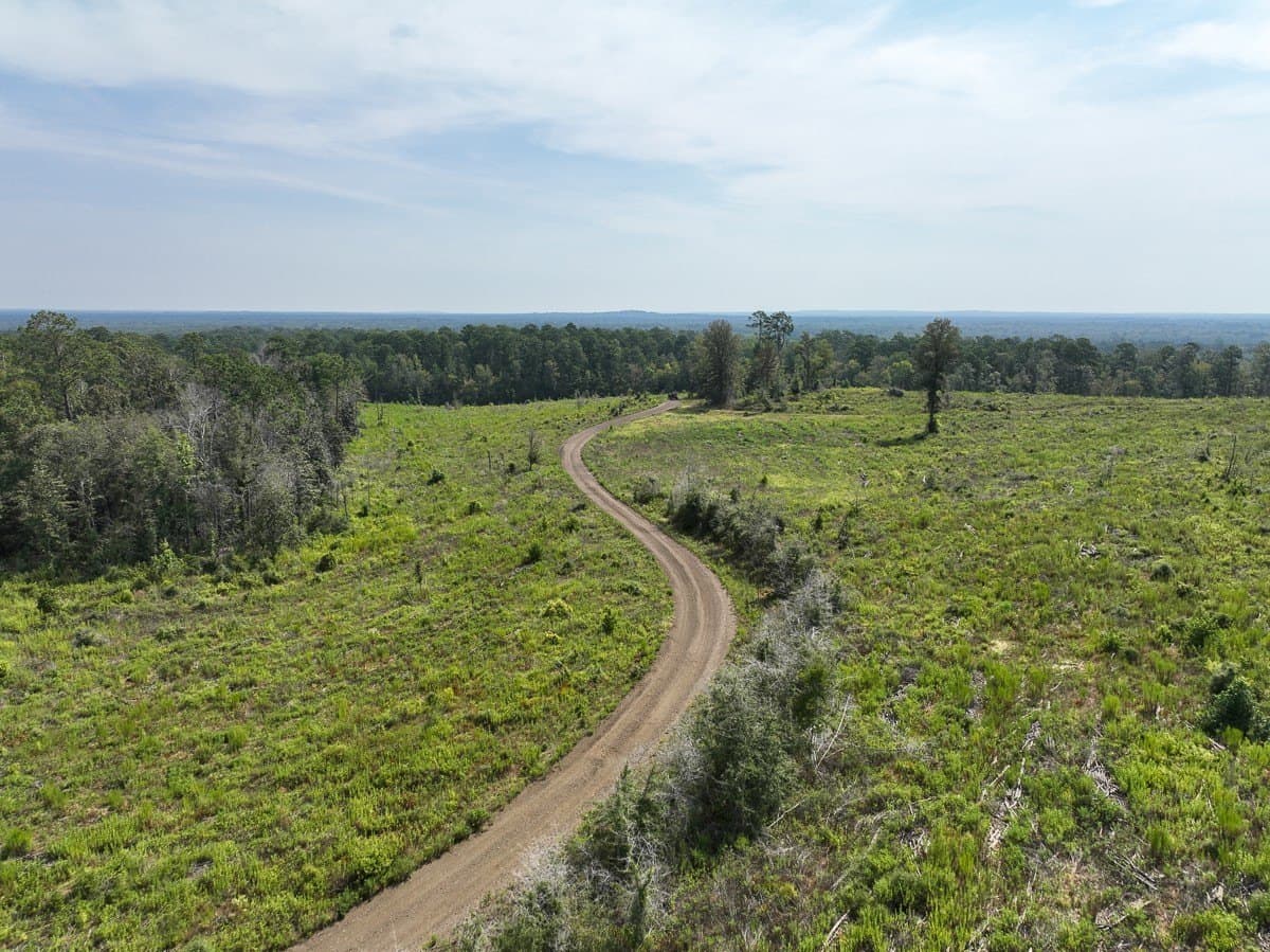 189 acres in Tyler County - photo 10