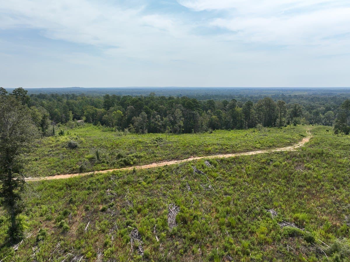 189 acres in Tyler County - photo 12