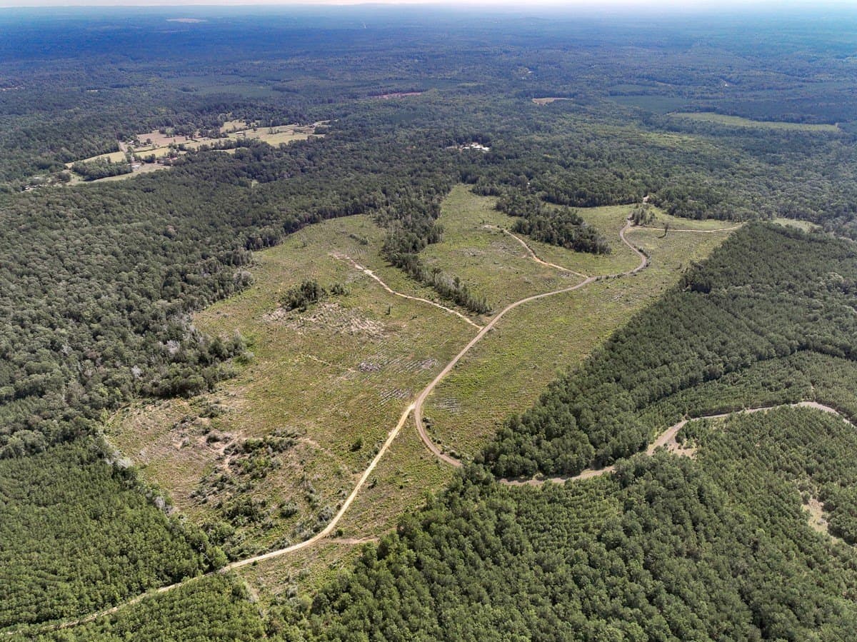 189 acres in Tyler County - photo 6