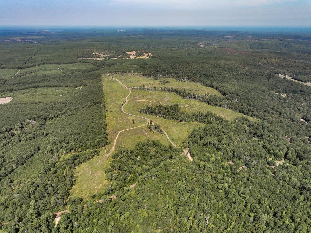 189 acres in Tyler County gallery image 4