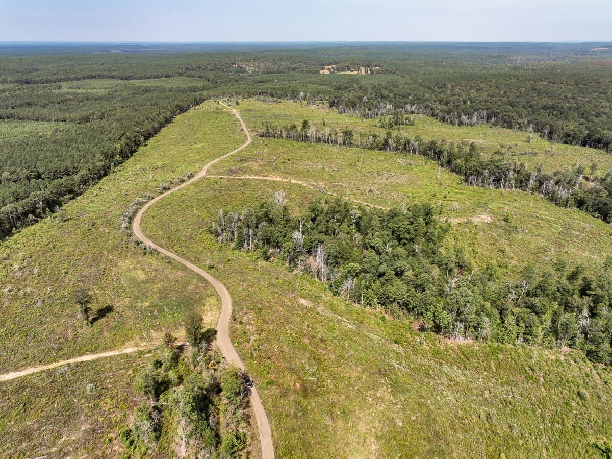 189 acres in Tyler County gallery image 3