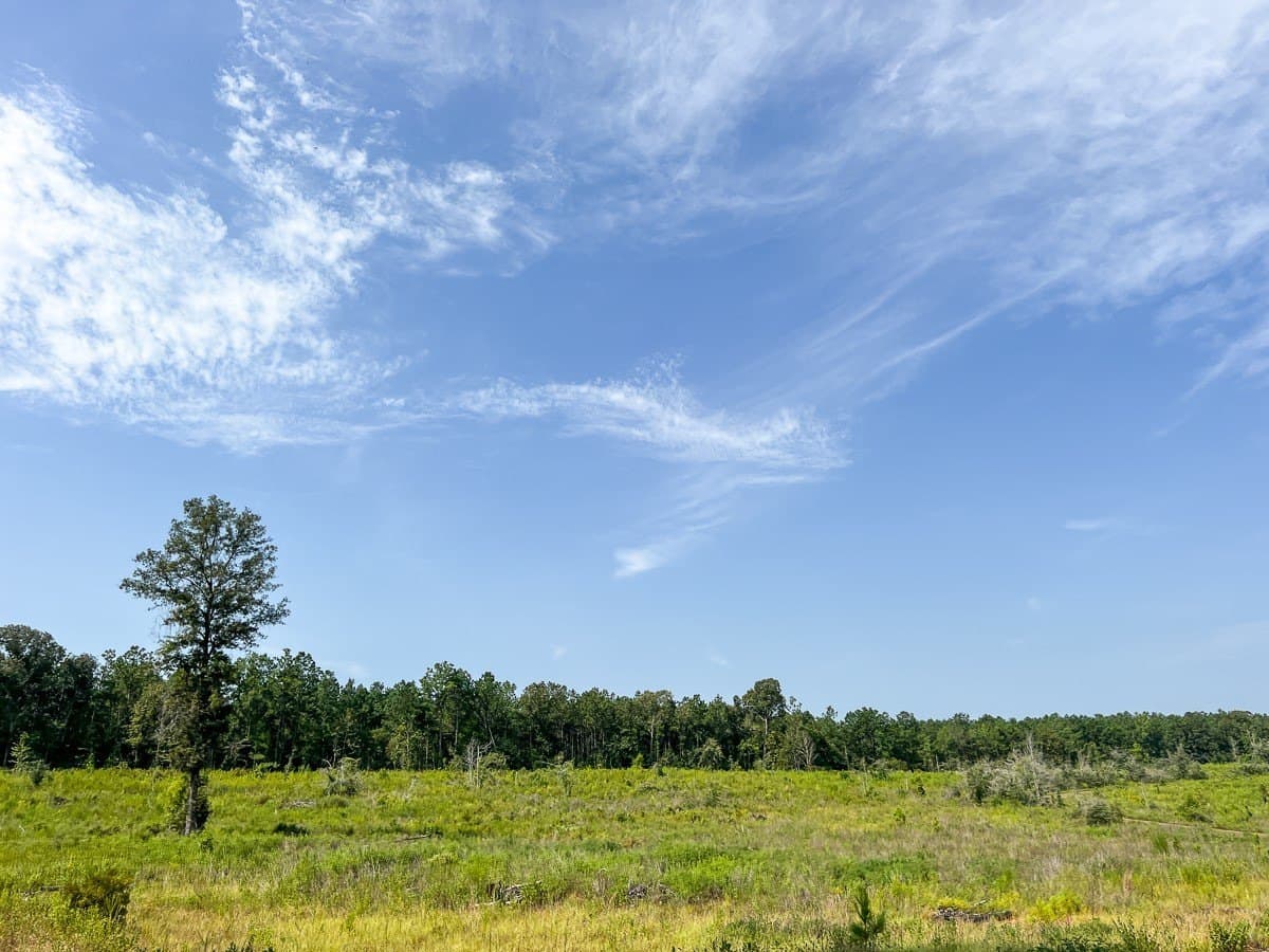 189 acres in Tyler County - photo 30