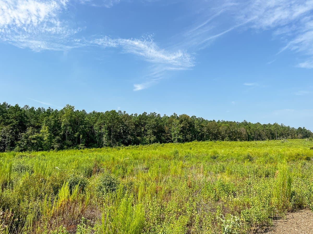 189 acres in Tyler County - photo 32