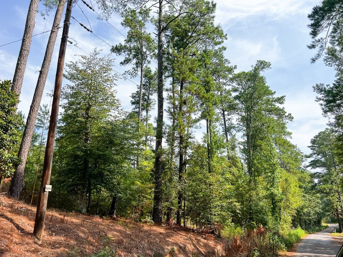 189 acres in Tyler County - photo 28