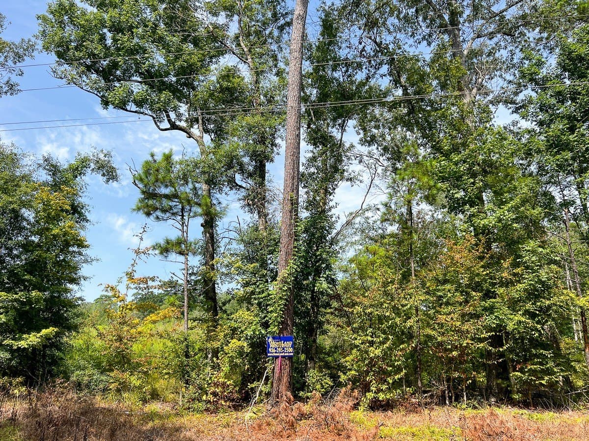 189 acres in Tyler County - photo 33