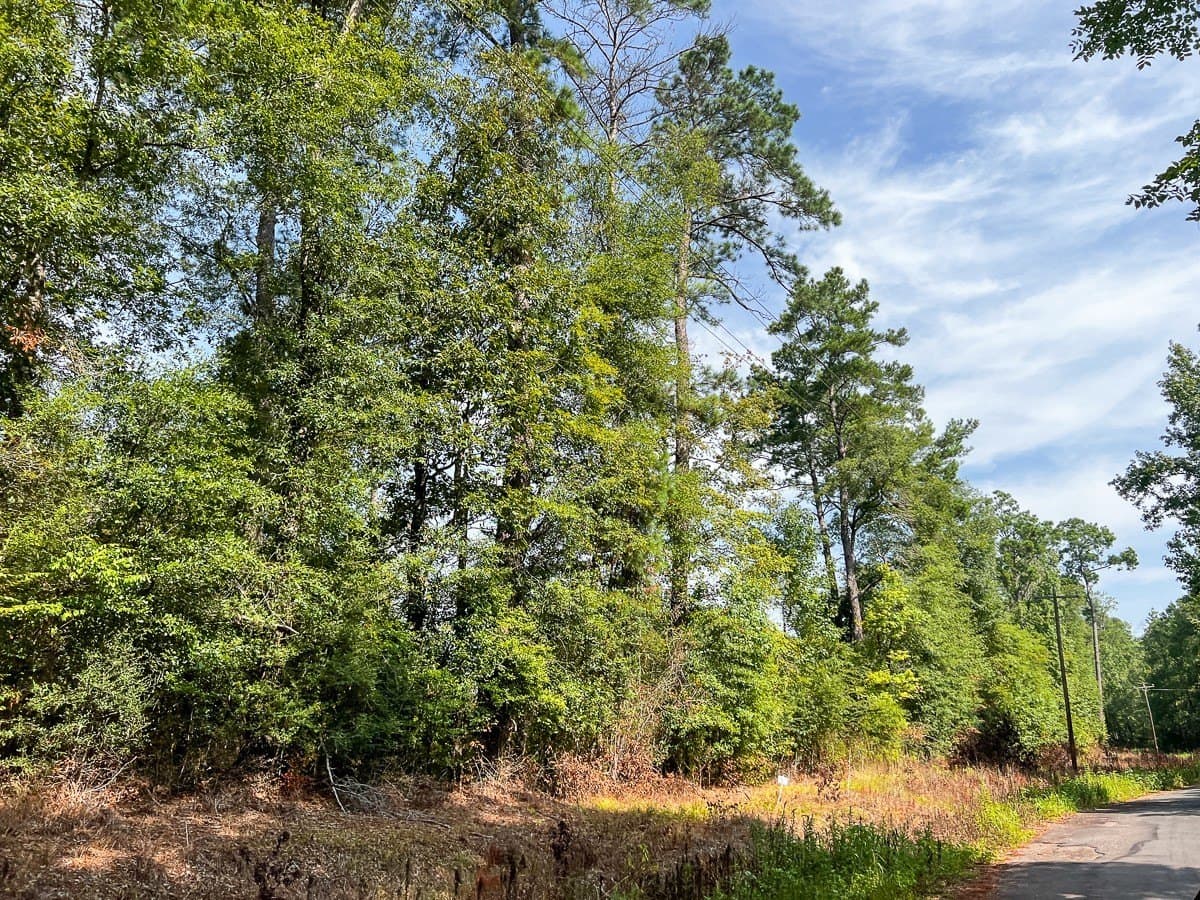 189 acres in Tyler County - photo 22