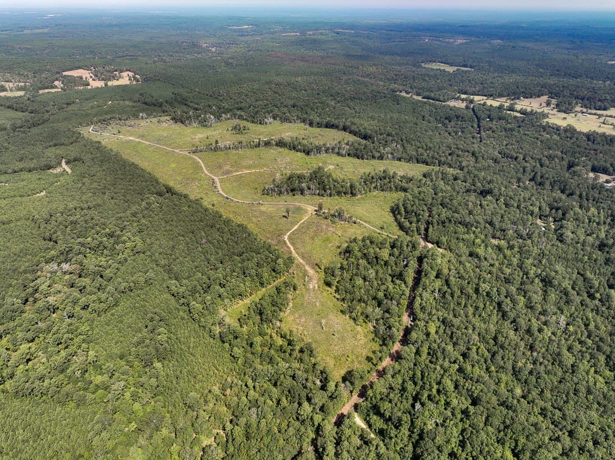 189 acres in Tyler County featured view