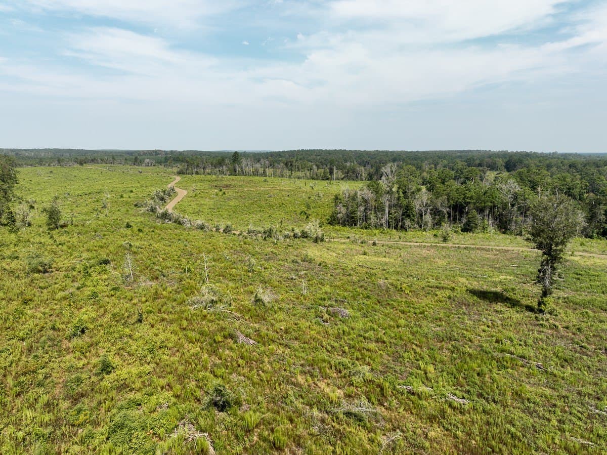 189 acres in Tyler County - photo 15